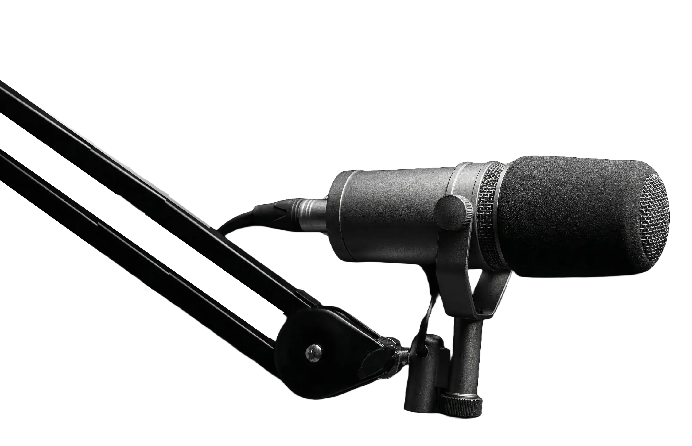 Raj Shamani | Entrepreneur, Host of Figuring Out Podcast